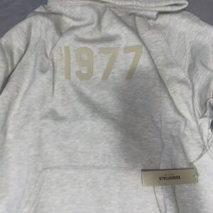 Essentials Gray Hoodie